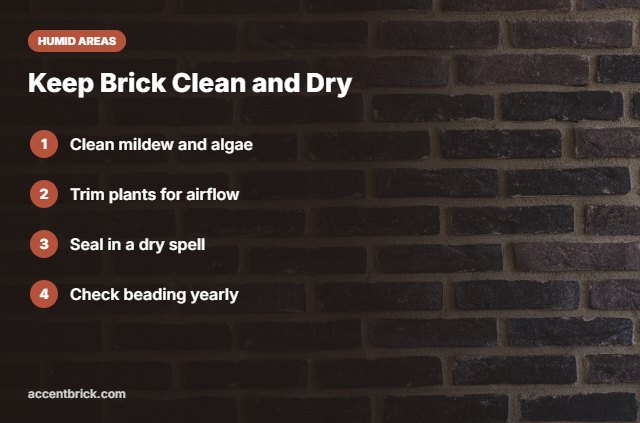 Brick care in humid climates